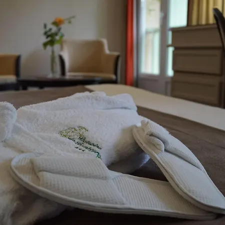 Logis Hotels- Et Restaurant Domaine De Fompeyre Hotel